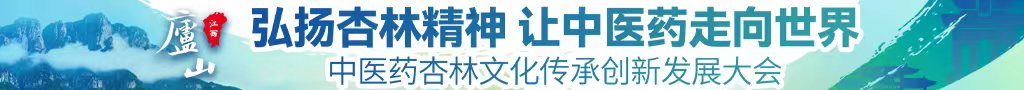 被操肿的骚逼中医药杏林文化传承创新发展大会